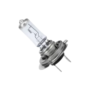 TRUCKTEC AUTOMOTIVE Light Bulbs 88.58.104 Bulb, headlight VW,AUDI,MERCEDES-BENZ,Golf IV Schragheck (1J1),Golf V Schragheck (1K1),POLO (9N_)