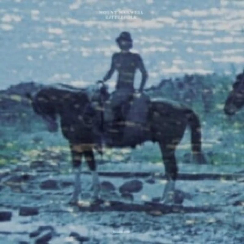 Image of Littlefolk Vinyl