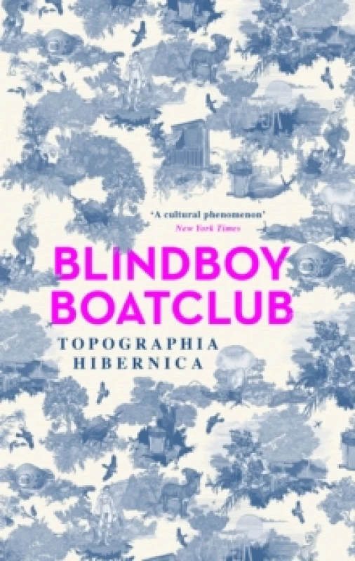 Image of Topographia Hibernica : Acclaimed stories from the bestselling Irish author, podcaster, satirist and musician Hardback