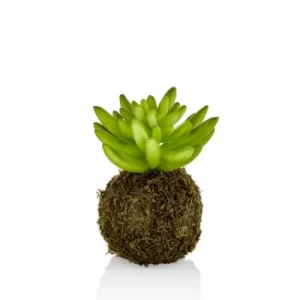 Image of CCK0116 Green Succulent Artificial Plant