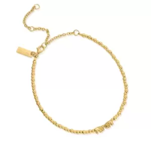 image of ChloBo Gold Plated Mini Cute Lucky Elephants Anklet