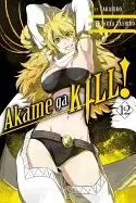 Image of akame ga kill vol 12