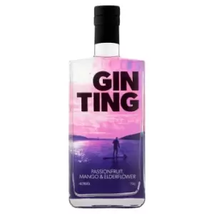 Image of Gin Ting Passionfruit, Mango & Elderflower Gin