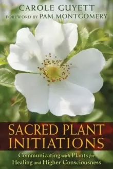 Image of Sacred Plant Initiations : Communicating with Plants for Healing and Higher Consciousness
