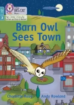 Image of Barn Owl Sees Town by Charlotte Raby