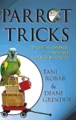 Image of parrot tricks teaching parrots with positive reinforcement