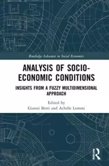 Image of Analysis of Socio-Economic Conditions : Insights from a Fuzzy Multi-dimensional Approach