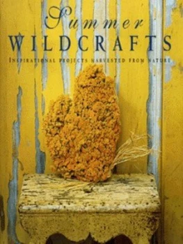 Image of Summer Wildcrafts by Tessa Evelegh and Debbie Patterson Hardback