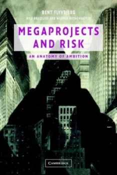 Image of Megaprojects and risk by Bent Flyvbjerg