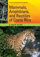 Image of mammals amphibians and reptiles of costa rica a field guide