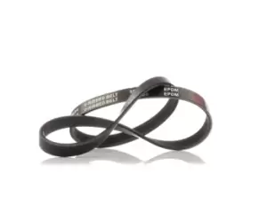 Image of RIDEX V-ribbed belt AUDI,BMW,FIAT 305P0148 07L903137C,07L903137M,11281433948 11281437874,46468650,46471757,46473060,46542139,71719397,71738160,GFB402