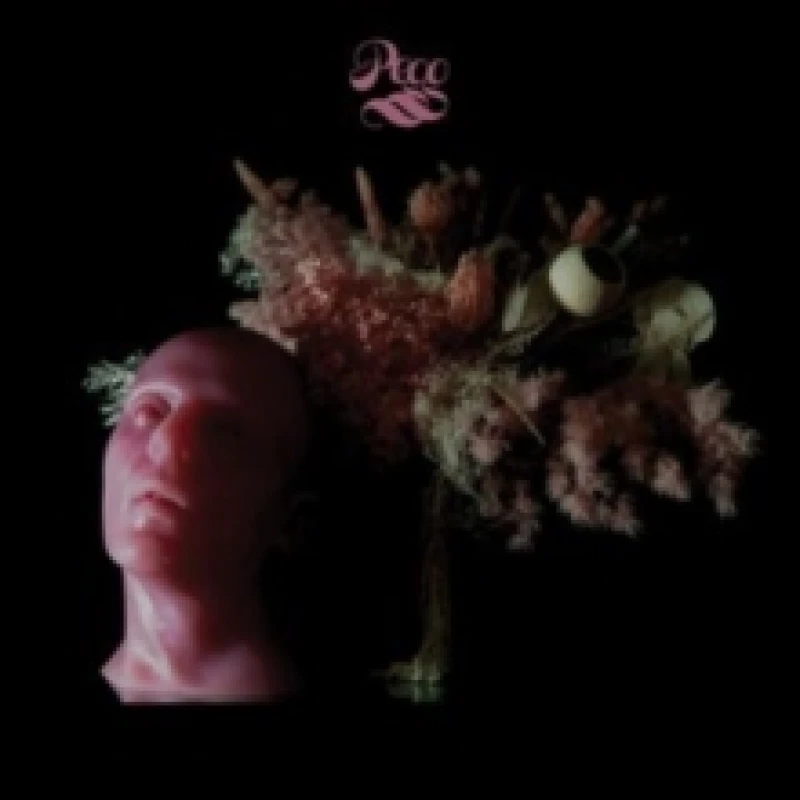Image of Pegg Vinyl