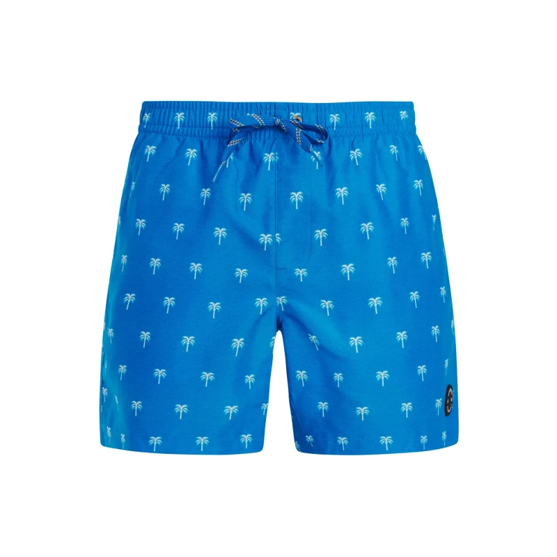 Image of Protest Swim shorts Protest Mascot Bleu Male S