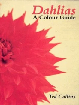 Image of Dahlias by Ted Collins Hardback