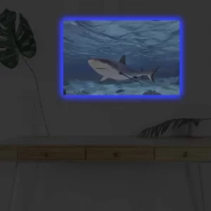 Image of 4570DHDACT-030 Multicolor Decorative LED Lighted Canvas Painting