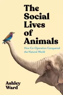 Image of The Social Lives of Animals : How Co-Operation Conquered the Natural World