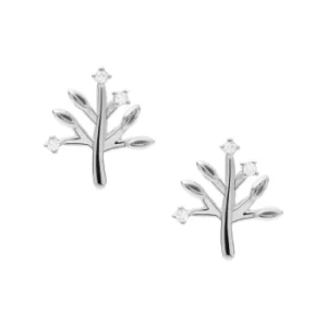 image of Fossil Elliott Tree Of Life Sterling Silver Stud Earrings