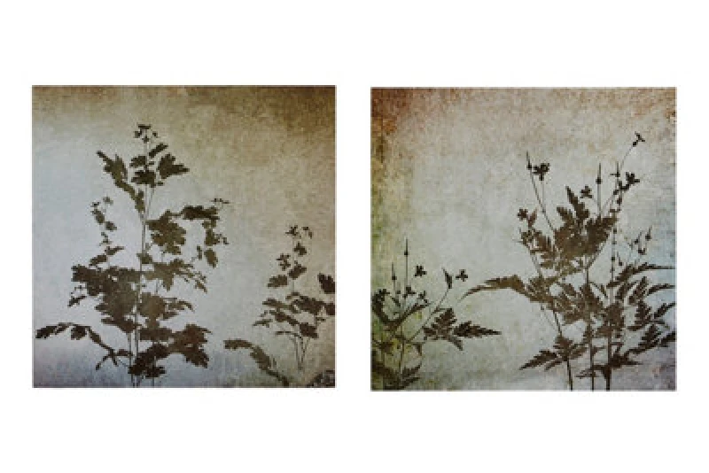 Image of Premier Housewares Madera Textured Florals Wall Plaques - Set of 2 Natural