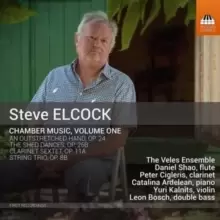 image of Steve Elcock: Chamber Music