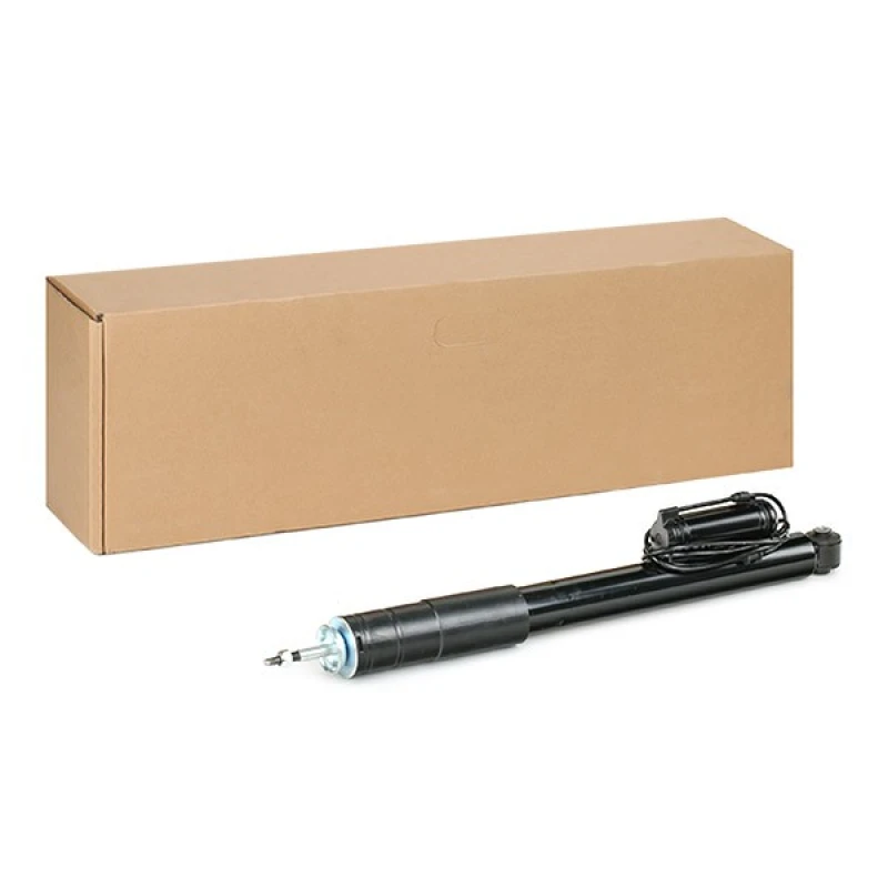 Image of RIDEX Air suspension strut RIDEX 4118A0046