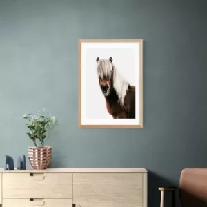 East End Prints Horse Print Brown