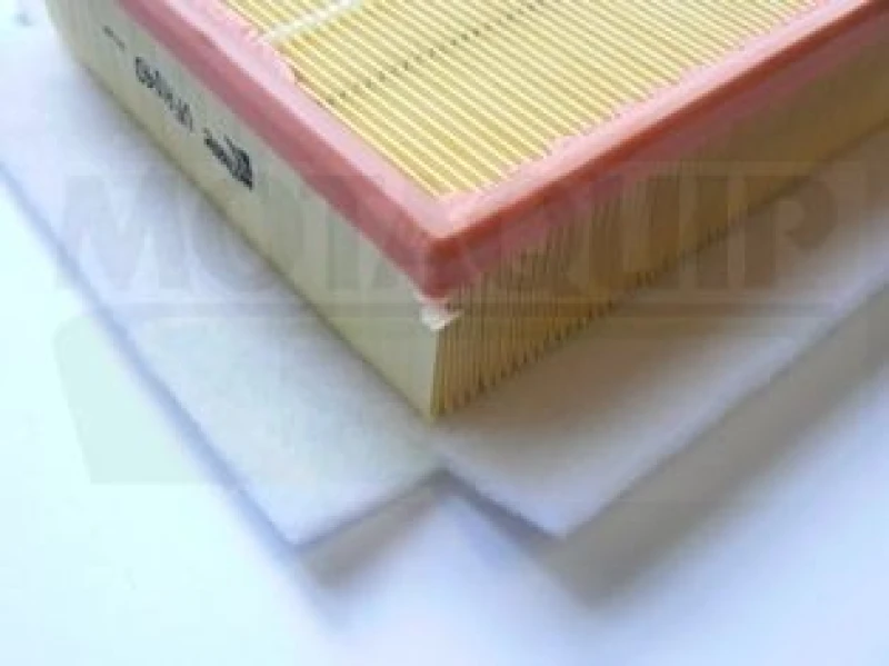 Image of MOTAQUIP Air filter MOTAQUIP VFA1140