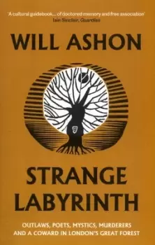 Image of Strange labyrinth by Will Ashon