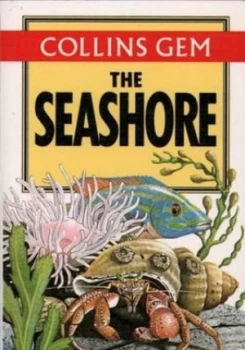 Image of The Seashore by Rosalind Fitter and Susanna Ray Paperback