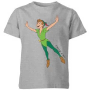 image of Disney Peter Pan Flying Kids T-Shirt - Grey - 11-12 Years