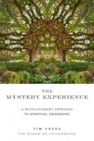 Image of The Mystery Experience by Tim Freke
