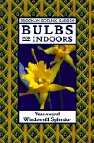 Image of bulbs for indoors year round windowsill splendor
