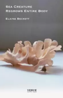Image of Sea Creature Regrows Entire Body