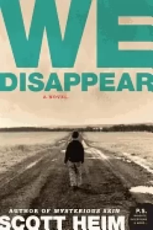 Image of we disappear a novel