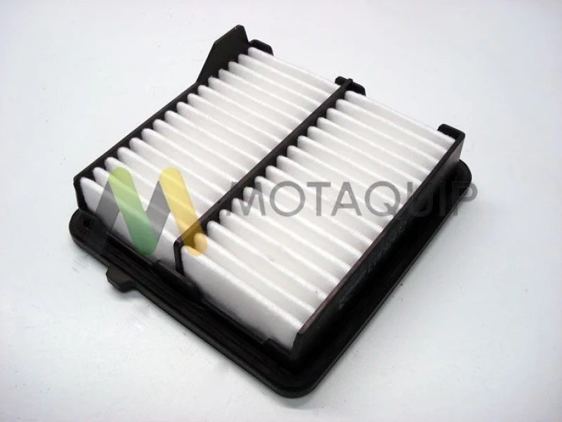 Image of MOTAQUIP Air filter MOTAQUIP LVFA1432