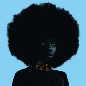 Image of Sink by Sudan Archives Vinyl Album