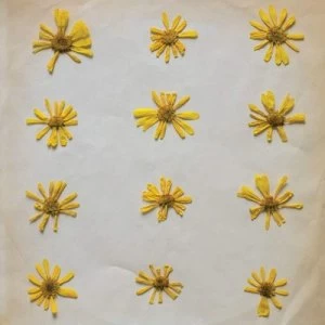 Image of Flowers in the Spring by The Molochs CD Album