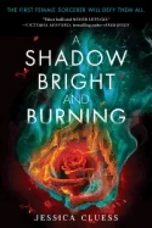 Image of shadow bright and burning