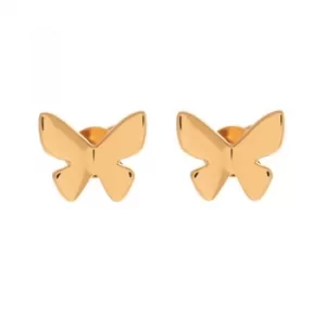 Image of Butterfly Stud Earring Gold Earrings
