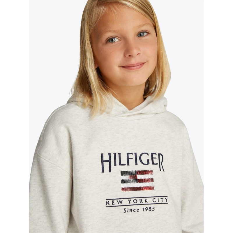 Image of Tommy Hilfiger HILFIGER SEQUIN FLAG HOODIE - Grey 11 - 12 Years Female