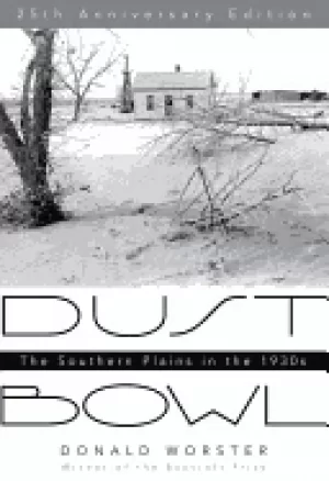 Image of dust bowl the southern plains in the 1930s
