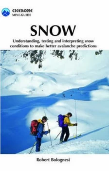 Image of Snow by Robert Bolognesi Paperback