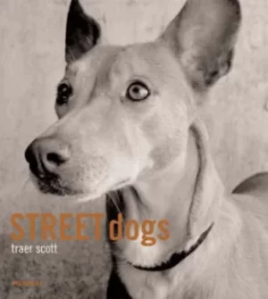 Image of Street dogs by Traer Scott