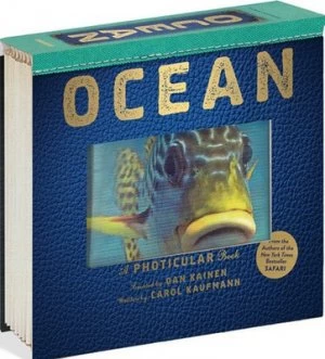 Image of Ocean by Dan Kainen Hardback