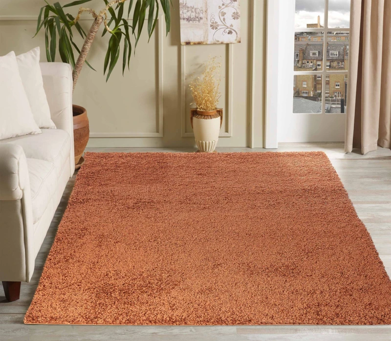 Image of Desire Rugs Plain Living Room Shaggy Area Rugs Terracotta 200X290 Cm