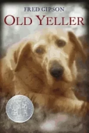 Image of old yeller