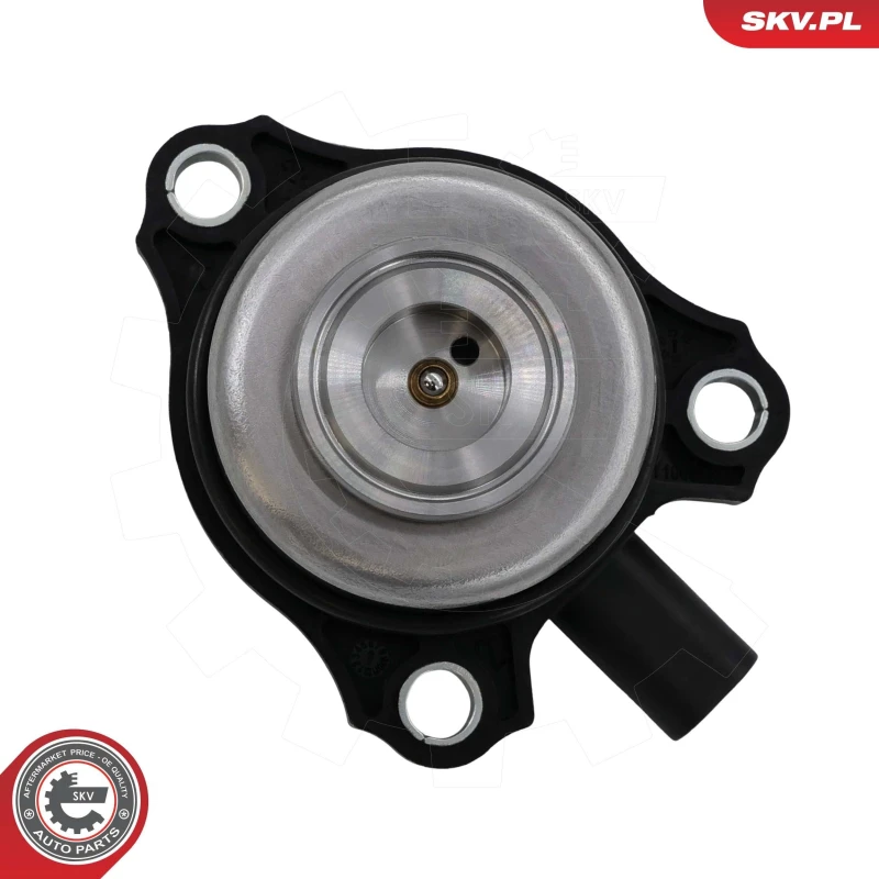 Image of ESEN SKV VVT solenoid ESEN SKV 39SKV907