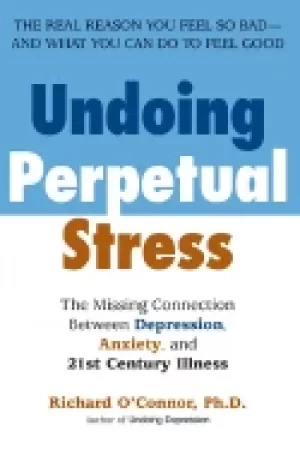 Image of undoing perpetual stress the missing connection between depression anxiety