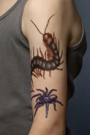 Image of Creepy Crawly Tattoo Bugs by Artemis Roehrig