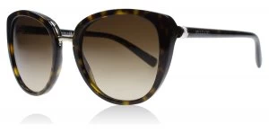 Image of Bvlgari BV8177 Sunglasses Dark Havana 504-13 53mm