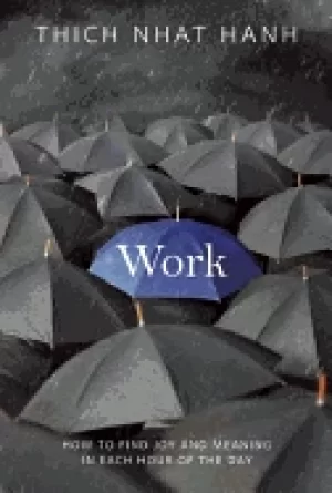 Image of work how to find joy and meaning in each hour of the day